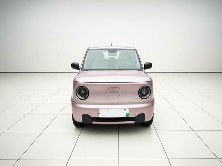 2023 Panda mini 200km Endurance Bear photo 2