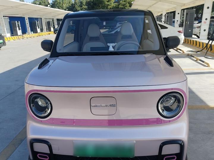 2025 210km Panda photo 2