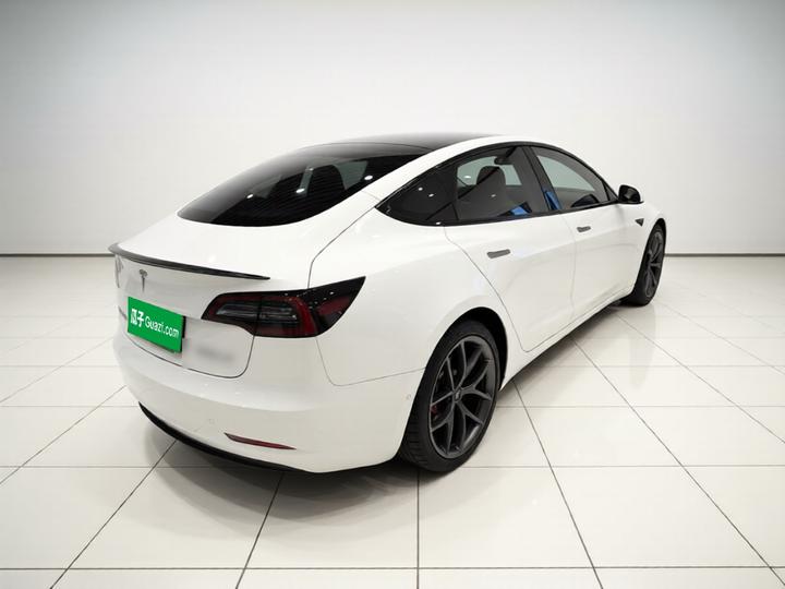 Model 3 2021 Performance AWD photo 6