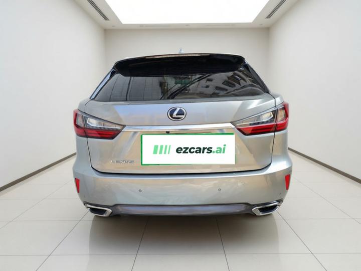 RX 2016 300 RWD Elite China V photo 3