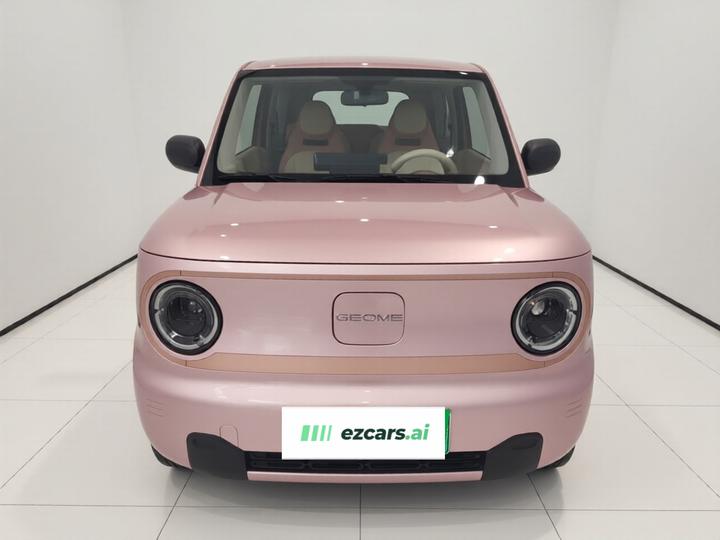 2024 Panda mini 200km Endurance Bear photo 2