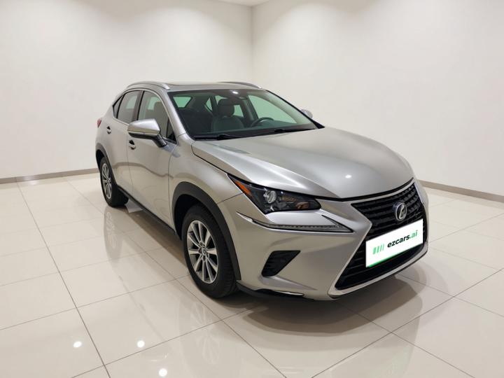 NX 2020 300h FWD China VI photo 3