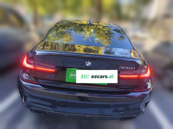 3 Series 2021 325Li M M Sport Night Package photo 5