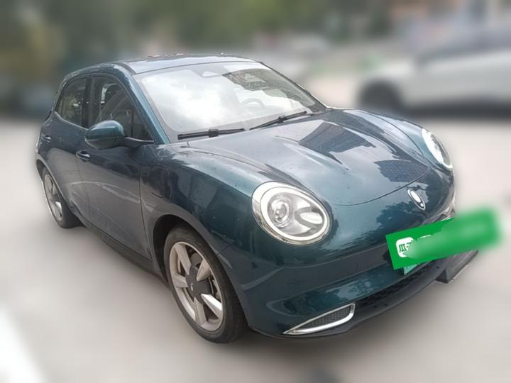 Good Cat 2021 400km Standard Range LFP photo 3