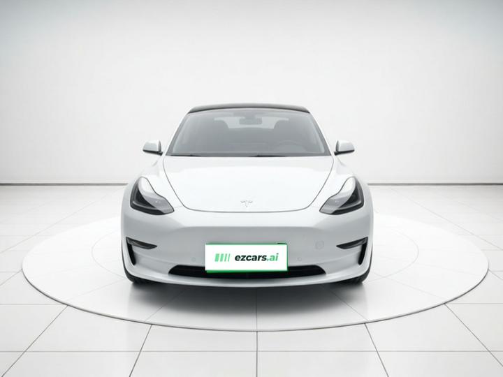 Model 3 2021 Performance AWD photo 2