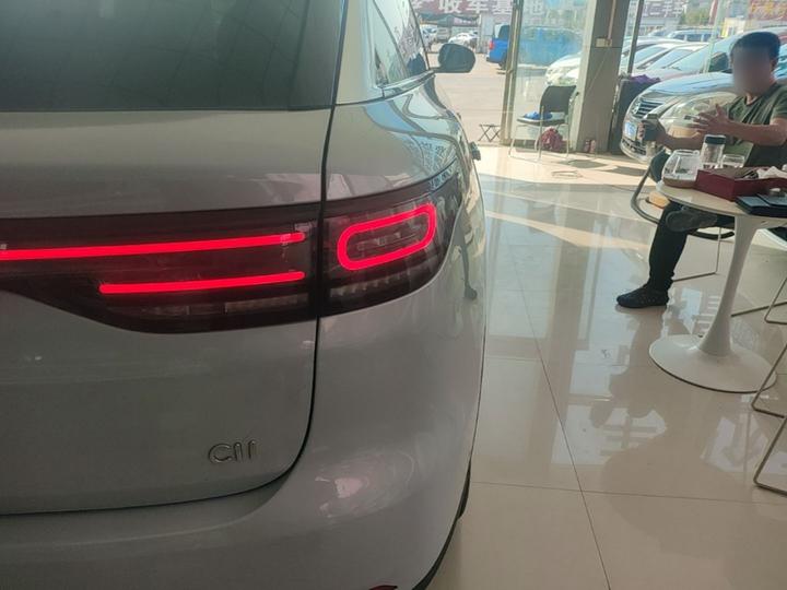 Leapmotor C11 2021 Luxury photo 7