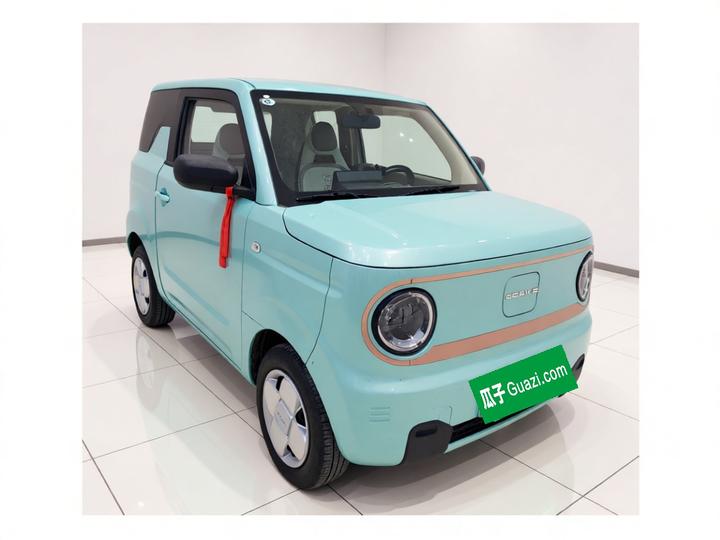 2024 Panda mini 200km Endurance Bear photo 3