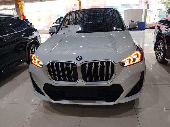 X1 2023 sDrive25Li M Sport Package photo 2