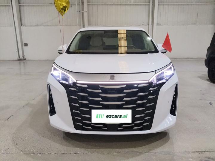2025 DM-i 1.5T 180km Excellence photo 2