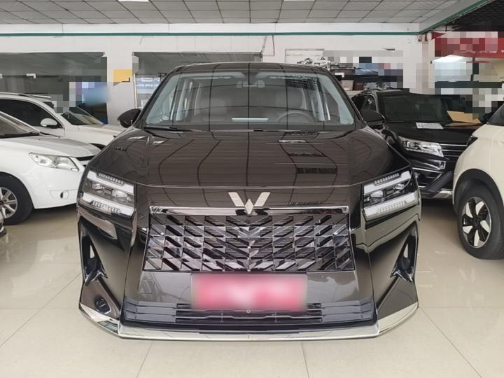 730 EV 2025 125km Luxury photo 2