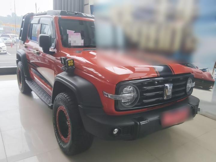 300 2021 Off-road 2.0T Conqueror photo 3