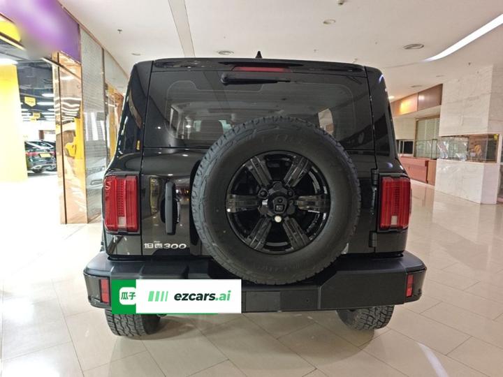 300 2025 2.0T Petrol Conqueror photo 3
