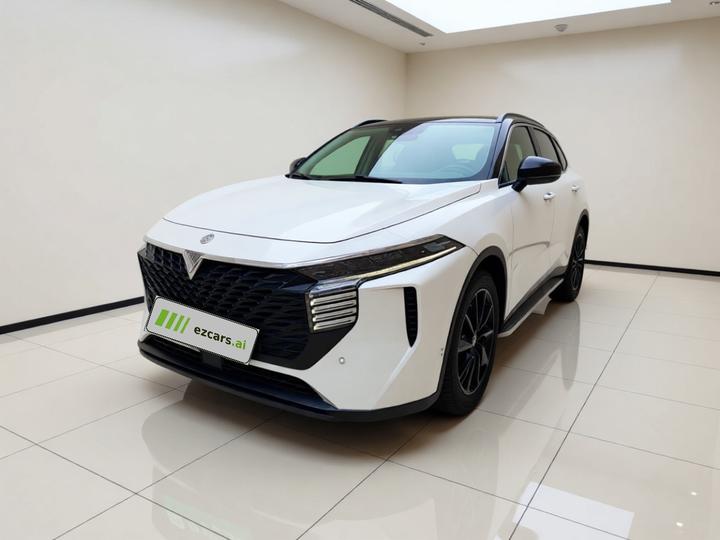 V 2021 260T