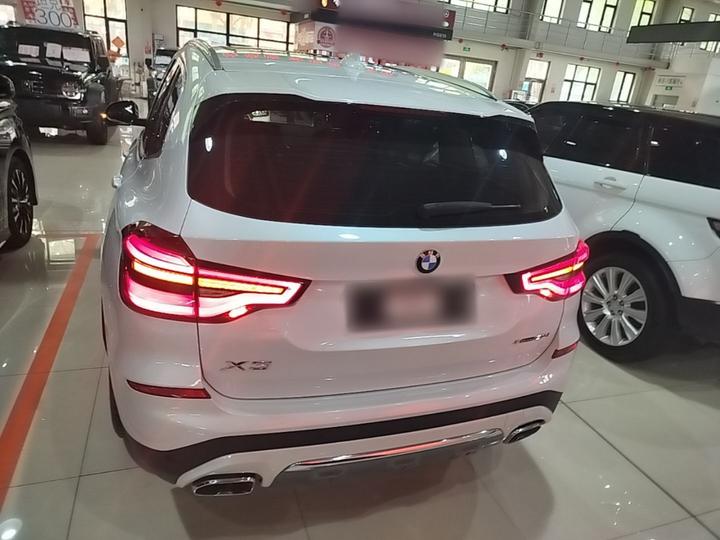 X3 2019 xDrive28i Luxury photo 3
