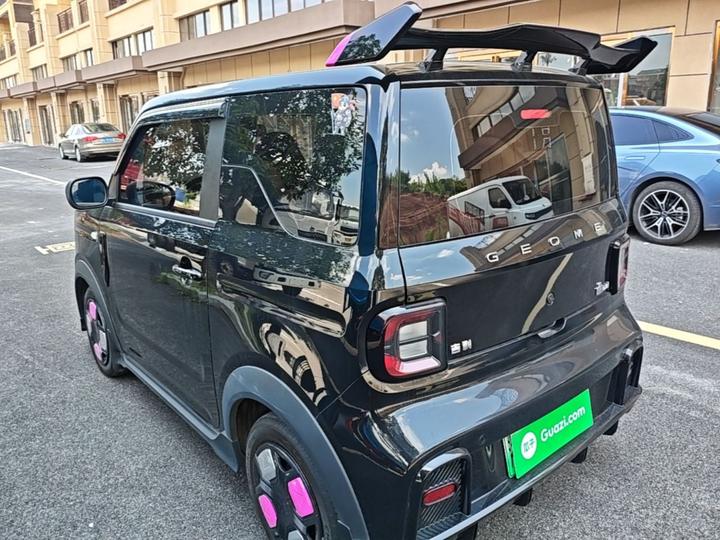 2025 210km Panda photo 4
