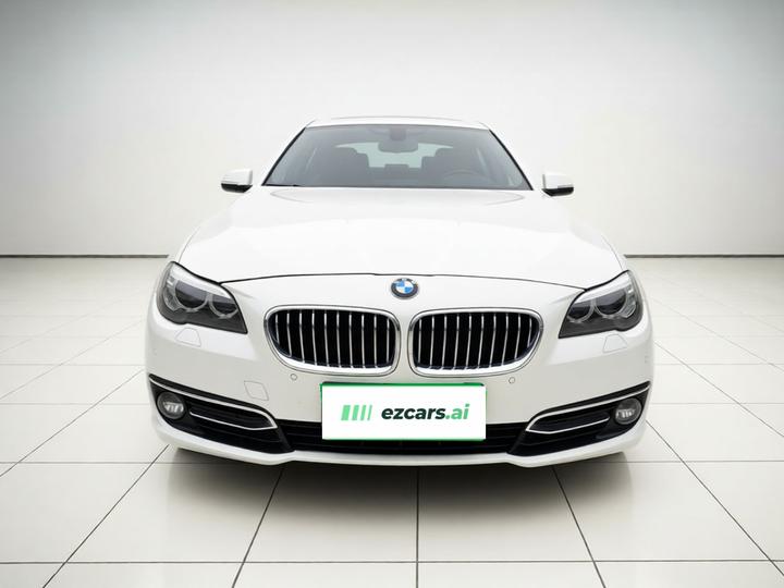 5 Series 2014 525Li Luxury Design Package photo 2