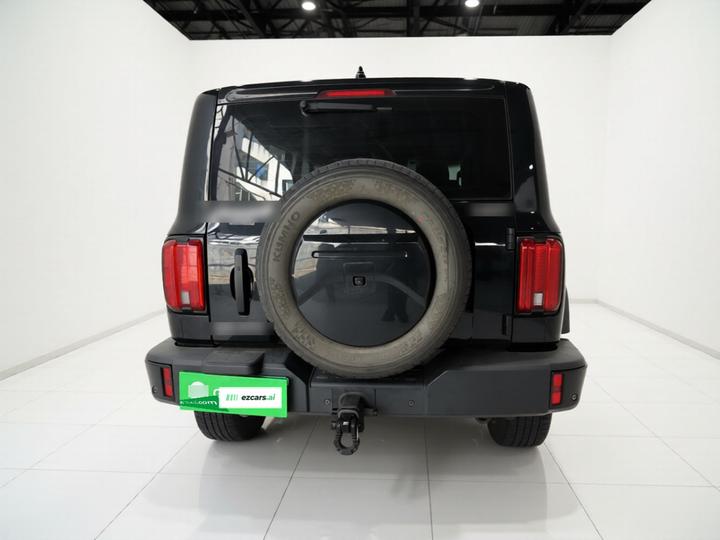 300 2024 2.0T Conqueror photo 5