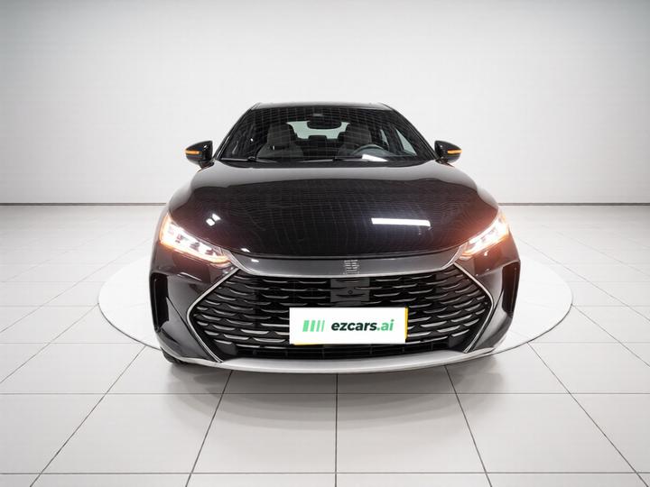 Tang EV 2024 DM-i Honor 112KM Noble photo 2