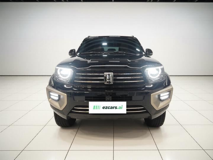 700 EV 2024 Hi4-T photo 2