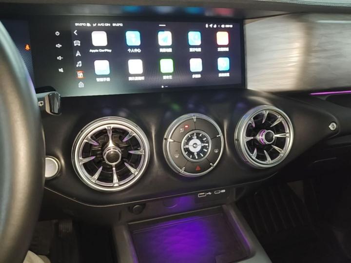 300 2021 Off-road 2.0T photo 8