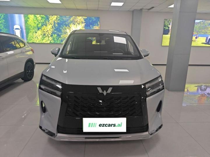 730 EV 2025 125km Luxury photo 2