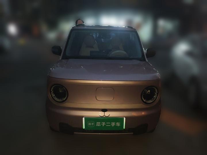 2023 Panda mini 200km Endurance Bear photo 2