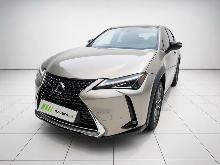 UX EV 2020 300e