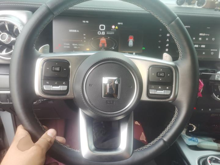 300 2024 2.0T Conqueror photo 7