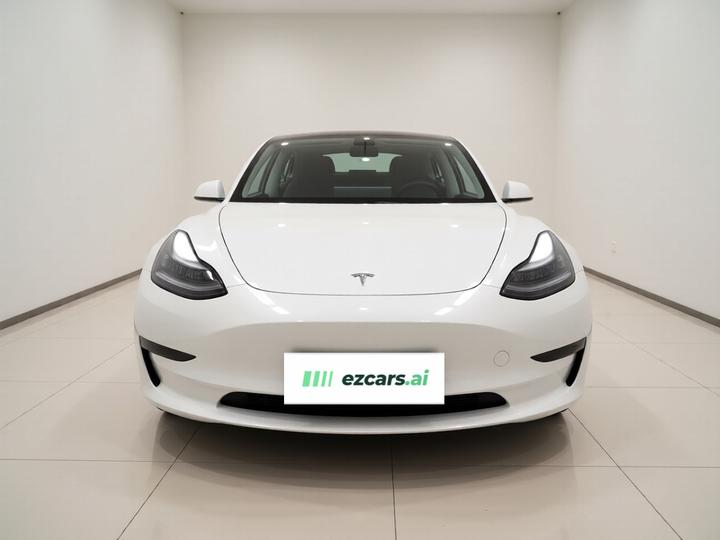 Model 3 Imported 2019 Standard Range RWD Upgraded 52 photo 2