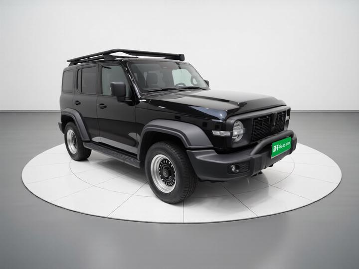 300 2023 Off-road 2.0T Conqueror photo 3