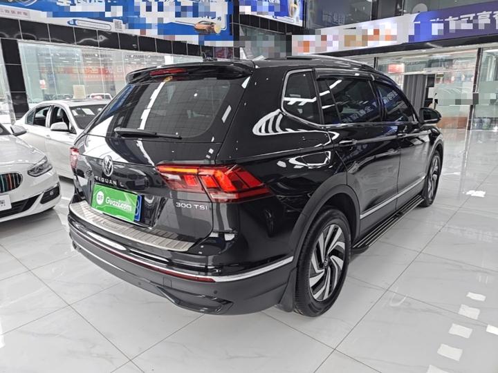 Tiguan L 2024 300TSI AT RWD photo 6