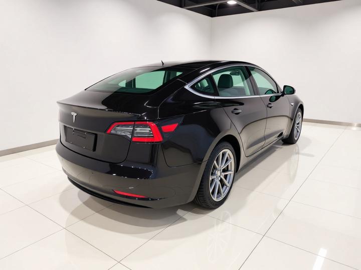 Model 3 2021 Standard Range RWD Upgraded 3D6 photo 4