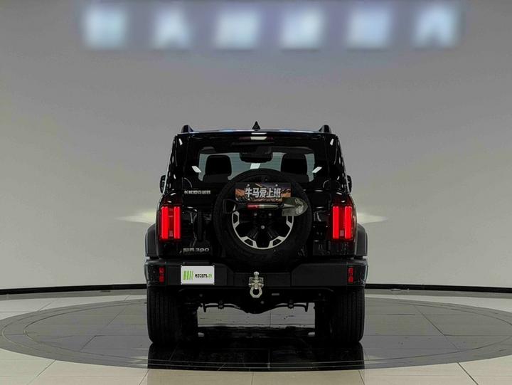 300 2025 2.0T Petrol Conqueror photo 5