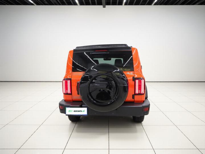 300 2021 Off-road 2.0T Conqueror photo 5