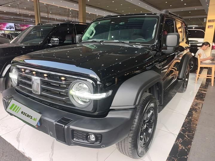 300 2021 Off-road 2.0T Conqueror
