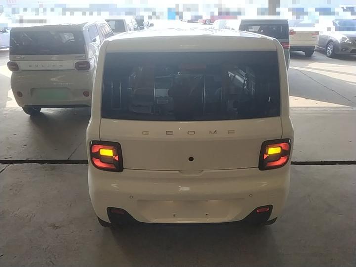 2023 Panda mini 200km Endurance Bear photo 5