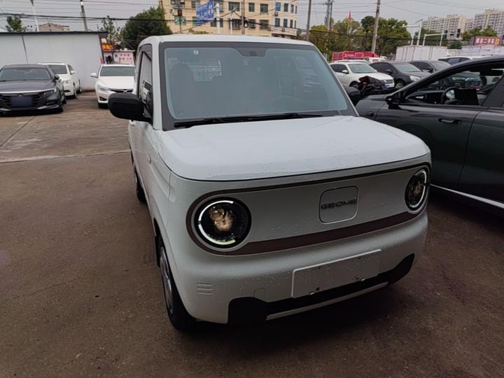 2024 Panda mini 200km Endurance Bear photo 3