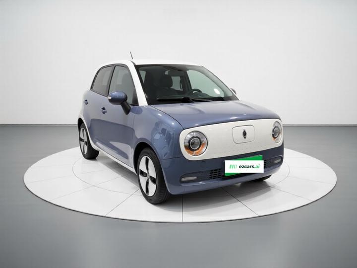 2021 351km Luxury photo 3