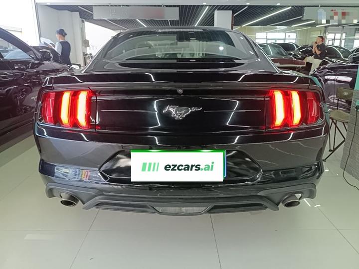 Mustang Parallel Import photo 5