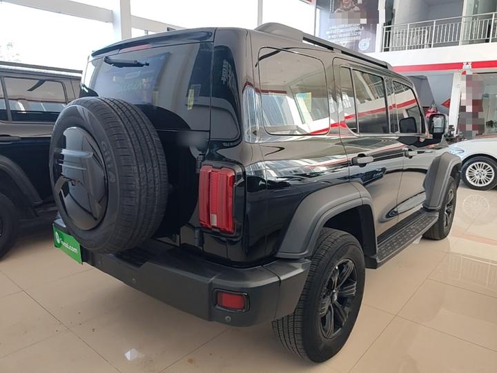 300 2023 Off-road 2.0T Conqueror photo 6