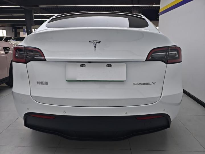 Model Y 2021 Long Range AWD photo 3