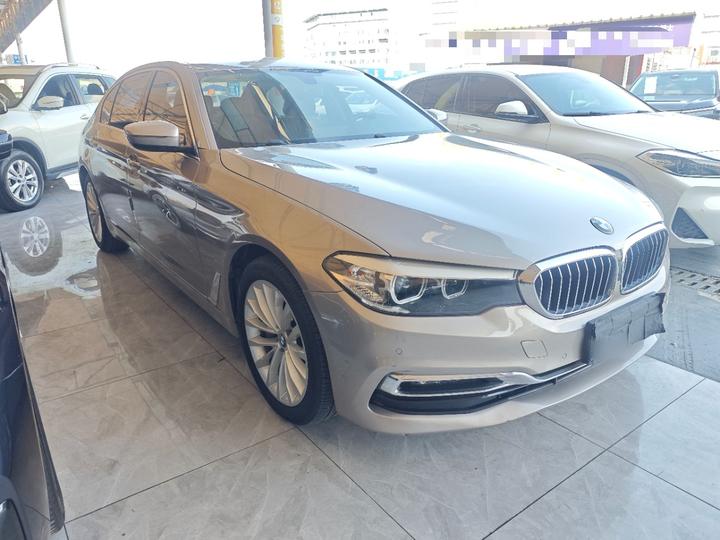 5 Series 2019 530Li Leading Luxury photo 3