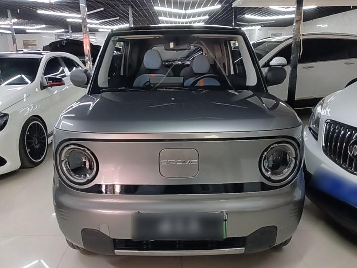 2024 Panda mini 200km Endurance Bear photo 2