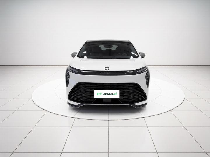 2023 2.0T 6-Seater photo 2