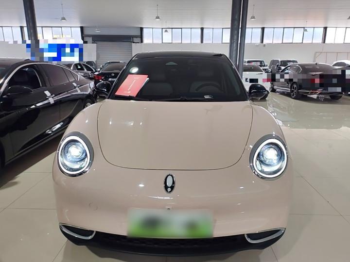 Good Cat 2024 401km Luxury photo 2