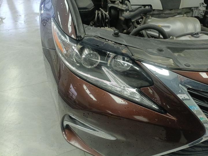 ES 2015 200 Elite photo 7