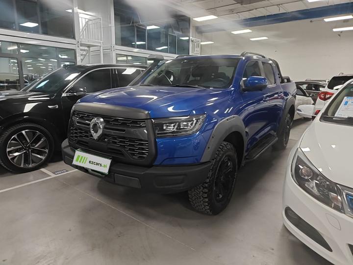 2020 2.0T Off-road AT Petrol AWD GW4C20B