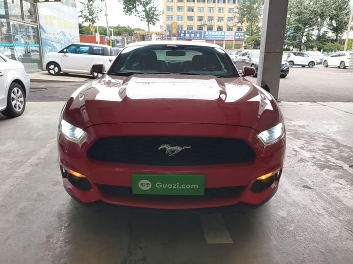 Mustang Parallel Import photo 2
