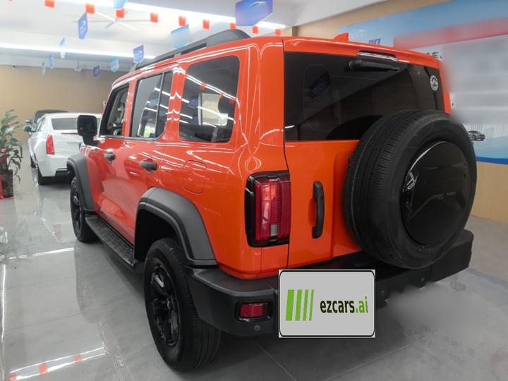 300 2021 Off-road 2.0T Conqueror photo 4