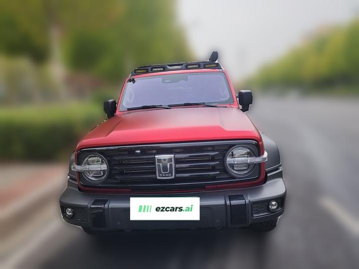 300 2024 2.0T Conqueror photo 2